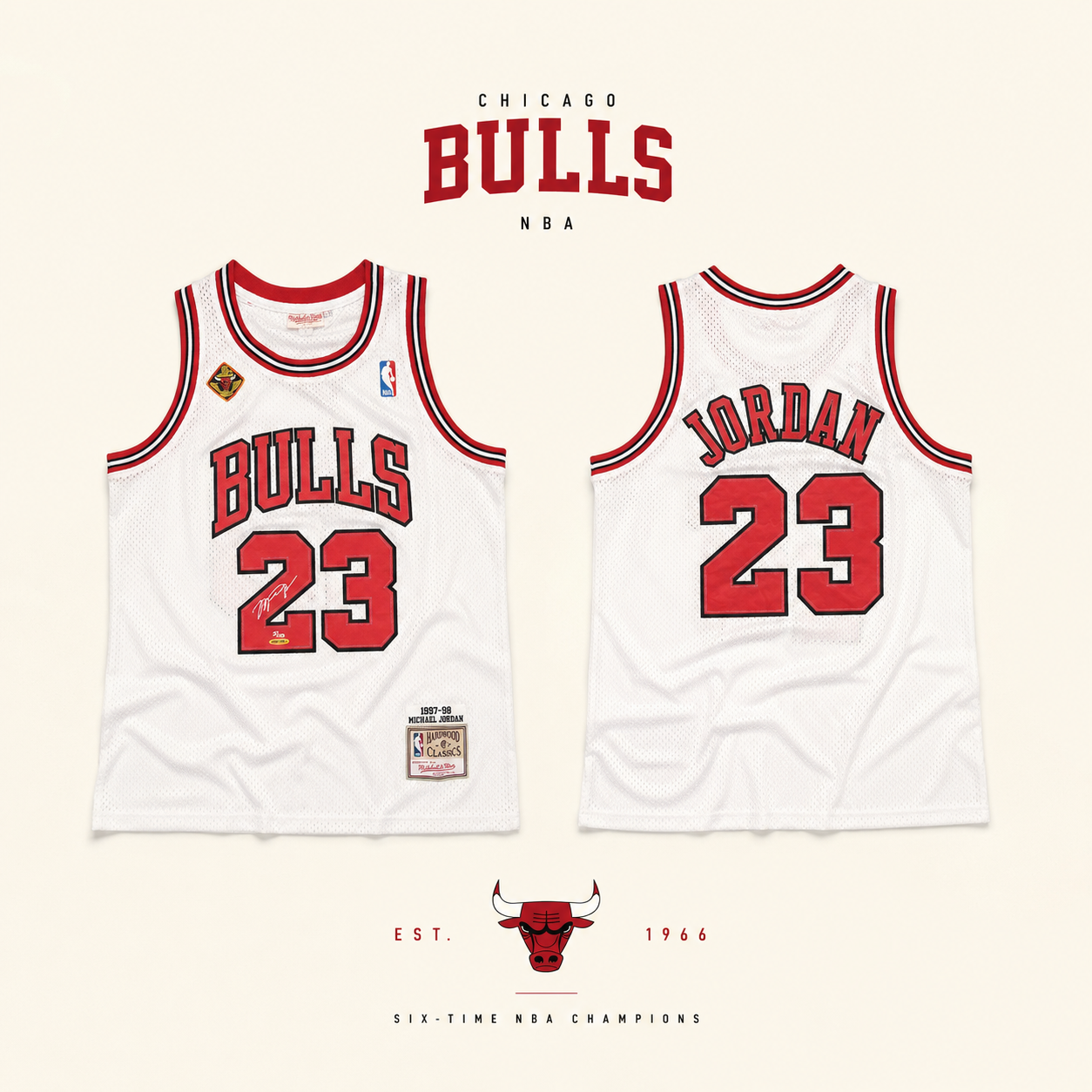 JERSEY NBA CHICAGO BULLS